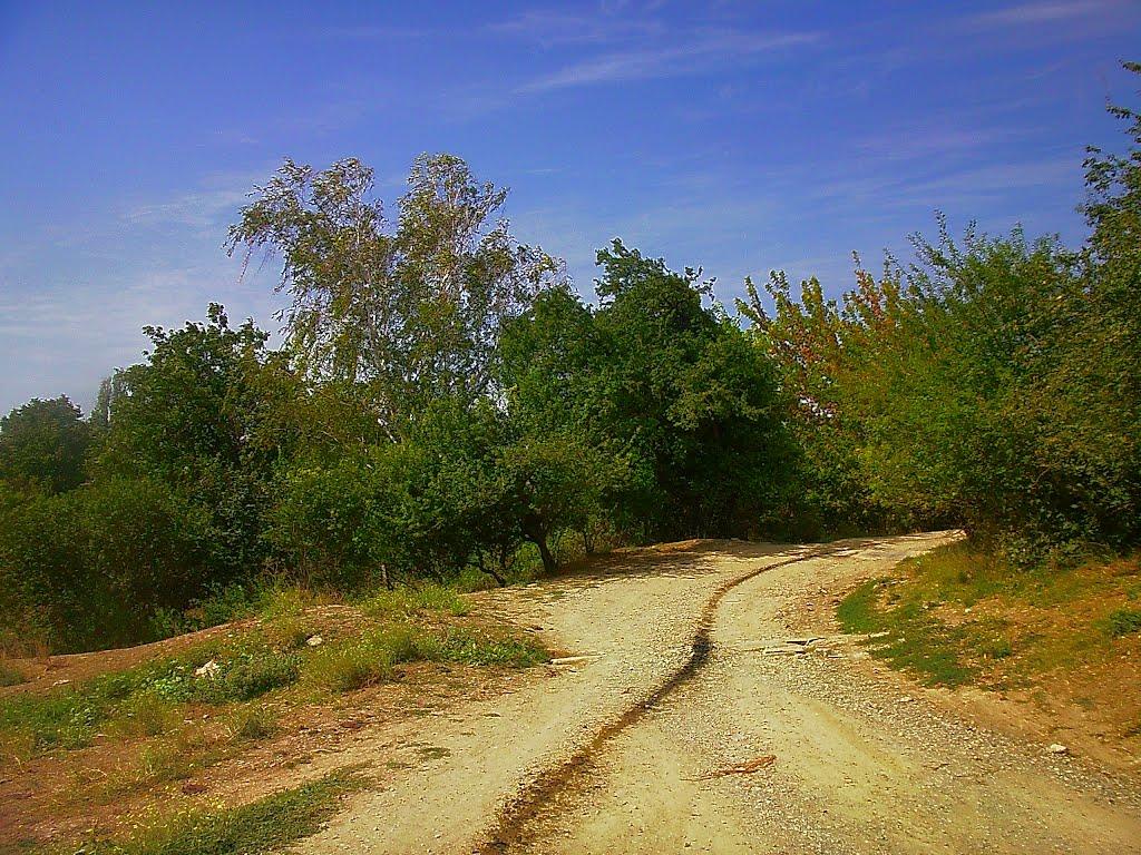Шевченкове з panoramio.com - Шевченково