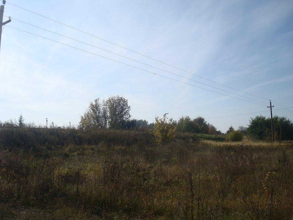 Лісоводи з panoramio.com - Лісоводи
