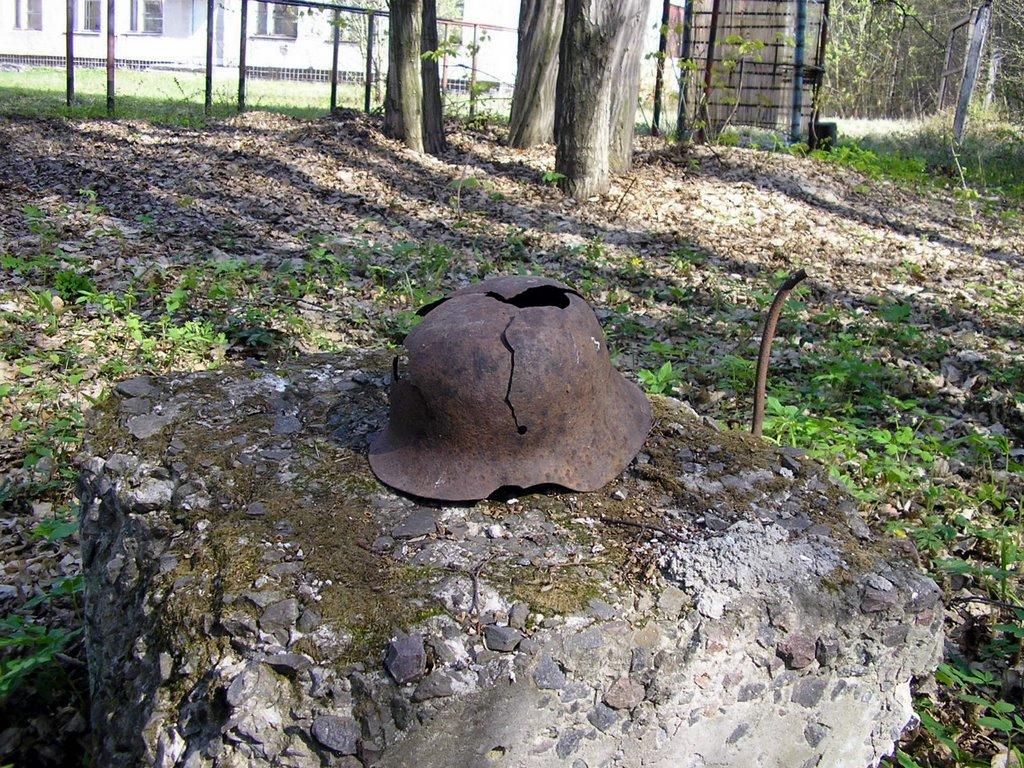 Слобідка-Залісецька з panoramio.com - Слободка-Залесецкая