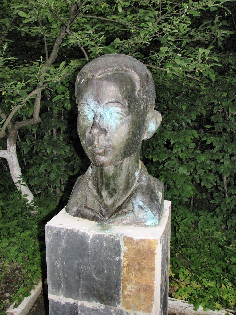 Головчинці з panoramio.com - Головчинцы