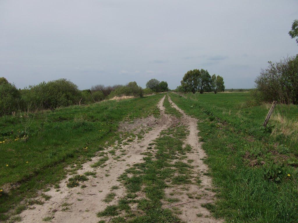 Виблі з panoramio.com - Vybli