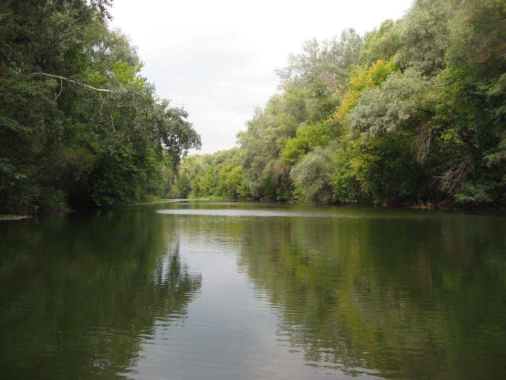 Великі Сорочинці з panoramio.com - Великие Сорочинцы