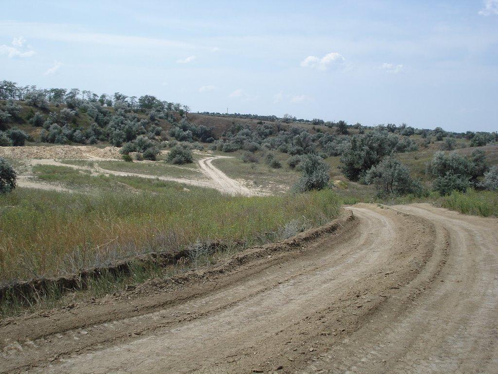 Ковалівка з panoramio.com - Ковалівка