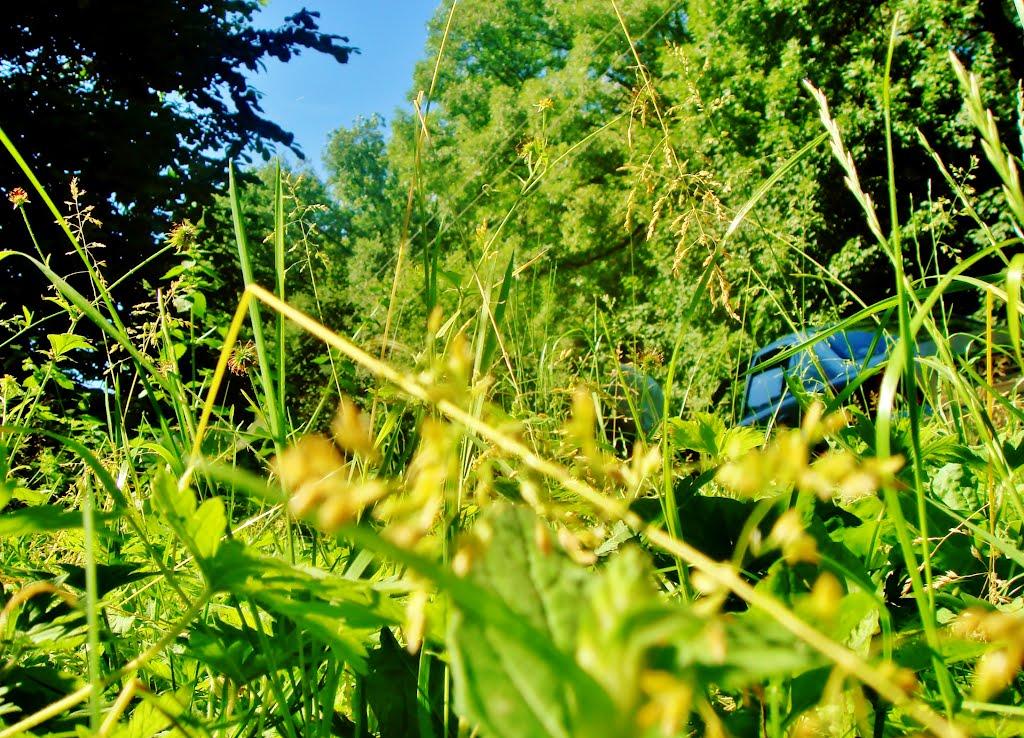 Козацьке з panoramio.com - Казацкое