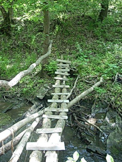 Ровеньки з panoramio.com - Rovenky