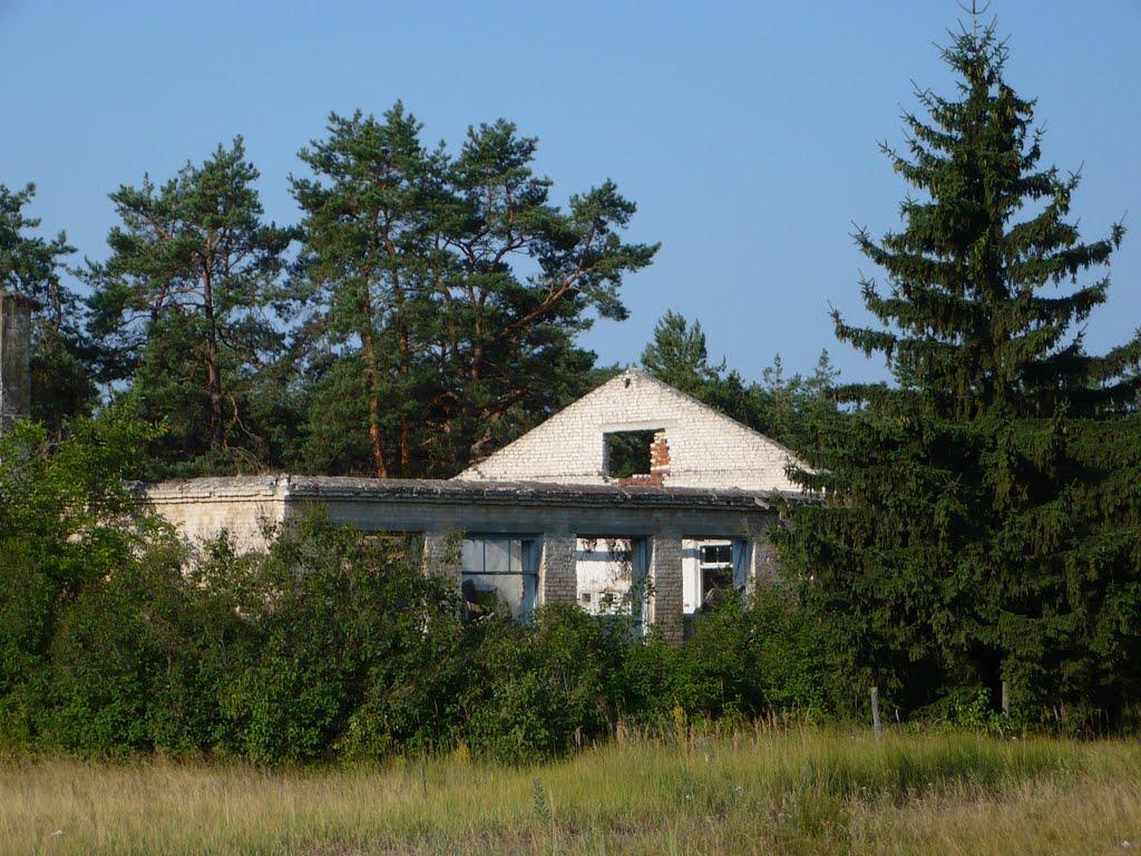 Прохорів з panoramio.com - Прохоров