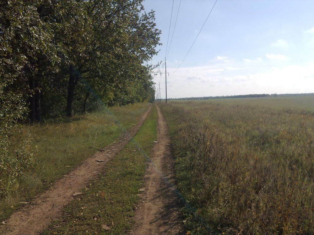 Миколаївське з panoramio.com - Миколаївське