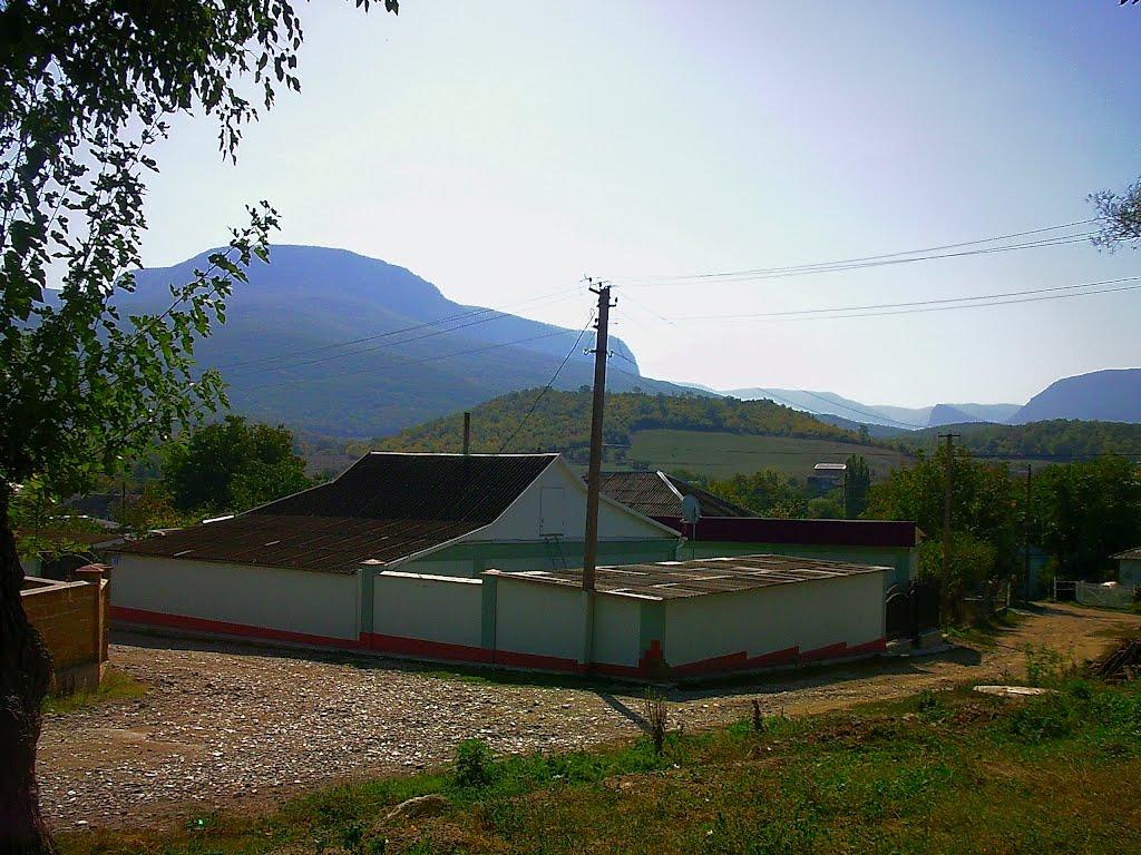 Плотинне з panoramio.com - Плотинное