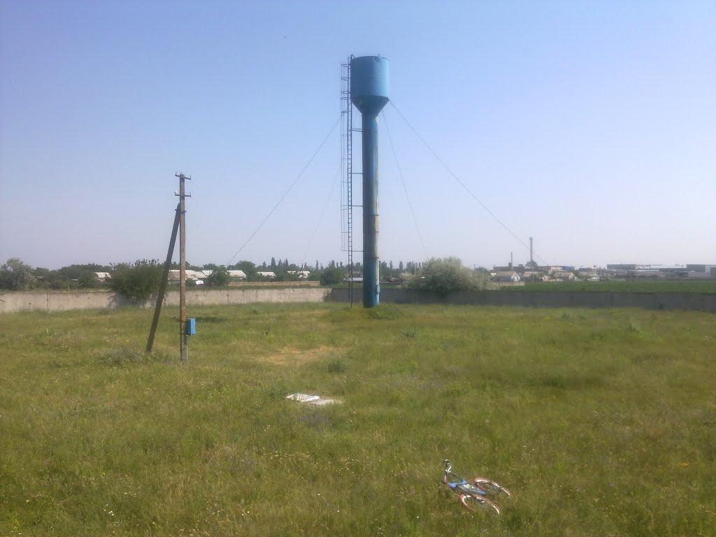 Миколаївське з panoramio.com - Николаевское
