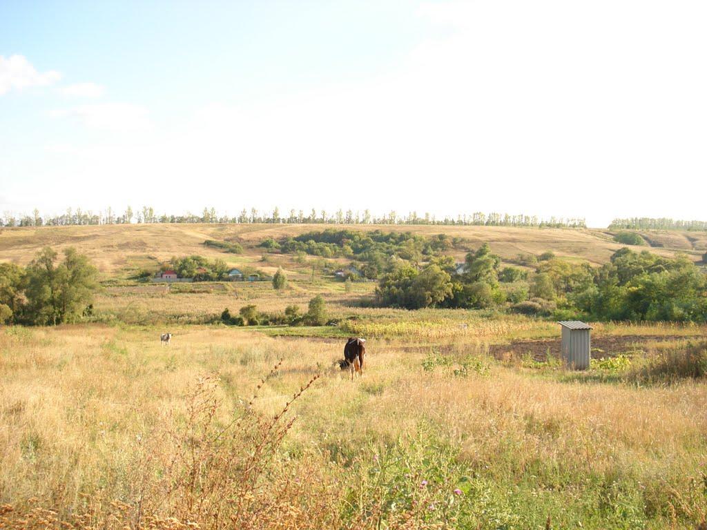 Берека з panoramio.com - Берека