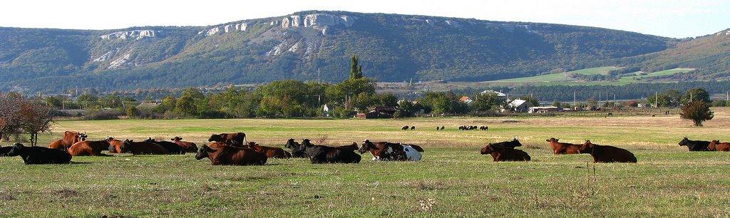 Партизанське з panoramio.com - Партизанське