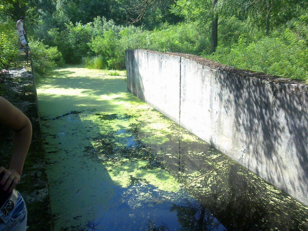 Лісники з panoramio.com - Лісники