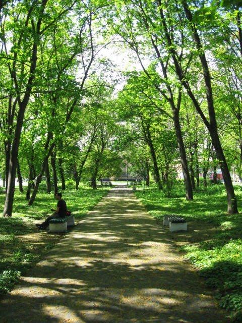 Диканька з panoramio.com - Диканька