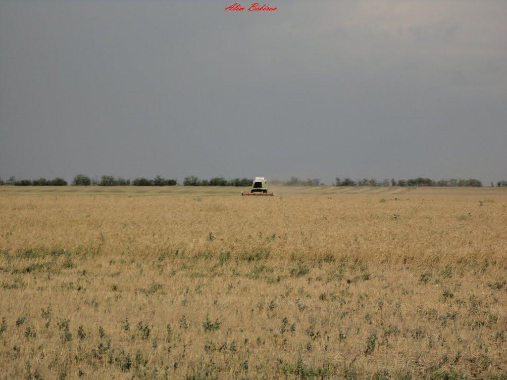 Кольцове з panoramio.com - Кольцово