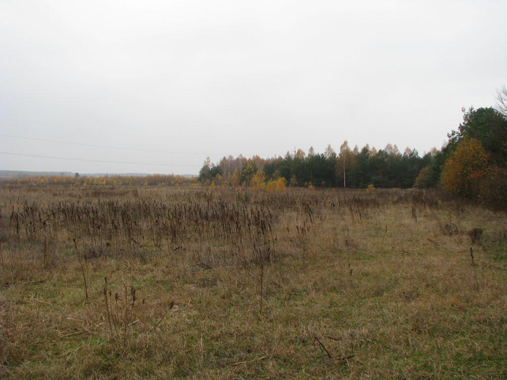 Тальки з panoramio.com - Тальки