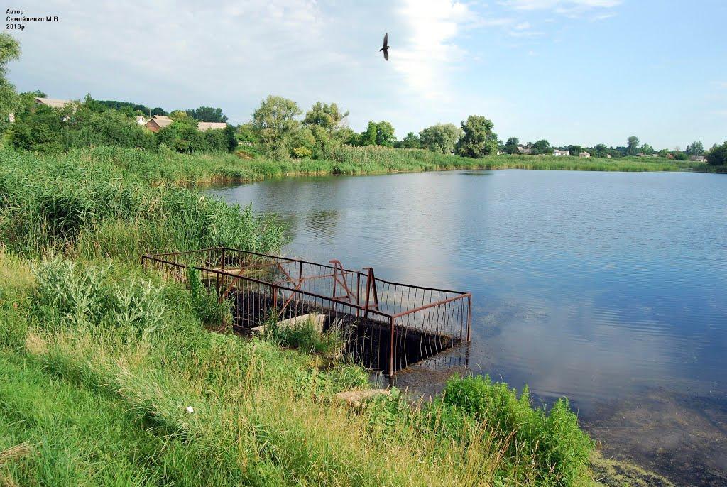 Устивиця з panoramio.com - Устивица