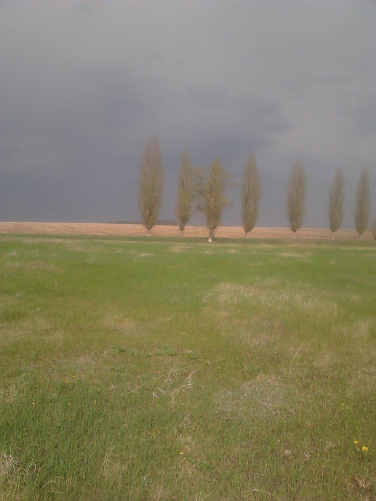 Капустинці з panoramio.com - Капустинці