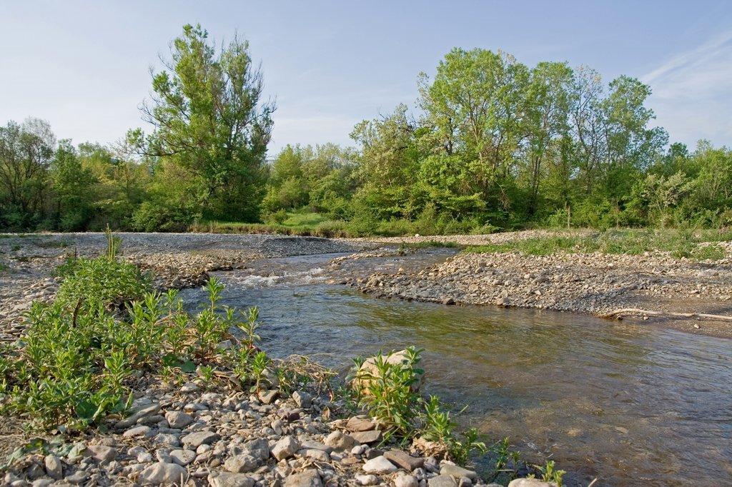 Аромат з panoramio.com - Аромат