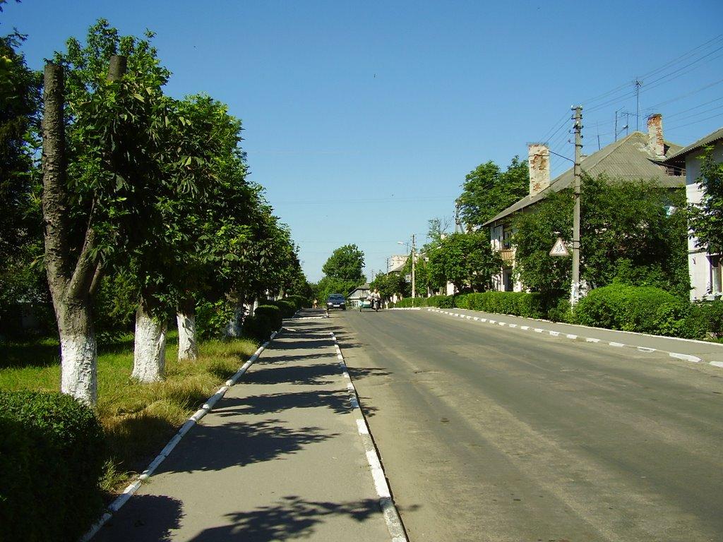 Сокиряни з panoramio.com - Сокиряни