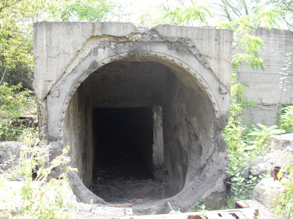 Кам'яне Поле з panoramio.com - Kamyane Pole