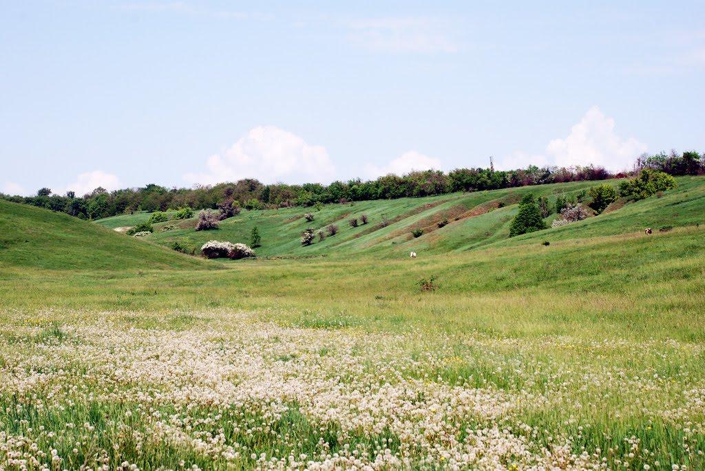 Краснокутськ з panoramio.com - Краснокутск