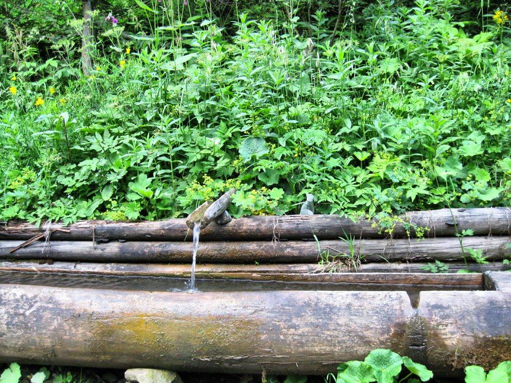 Руська з panoramio.com - Русская