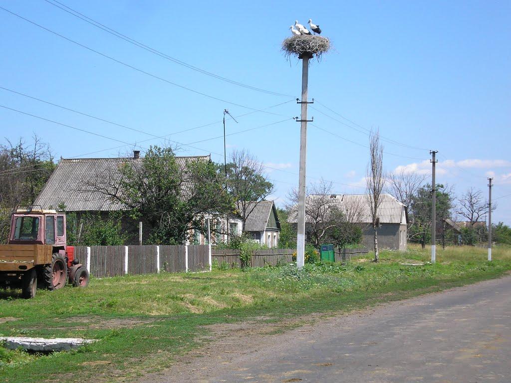 Гуліве з panoramio.com - Гуліве