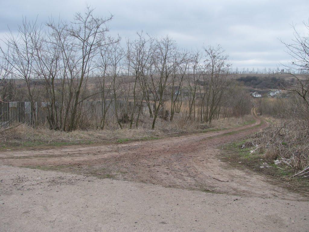 Берека з panoramio.com - Берека