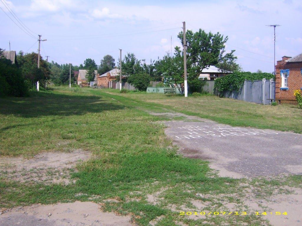 Кирияківщина з panoramio.com - Кирияковщина