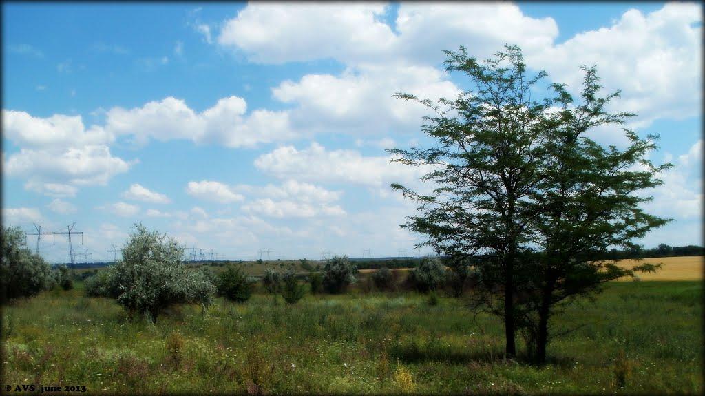 Опитне з panoramio.com - Опитное