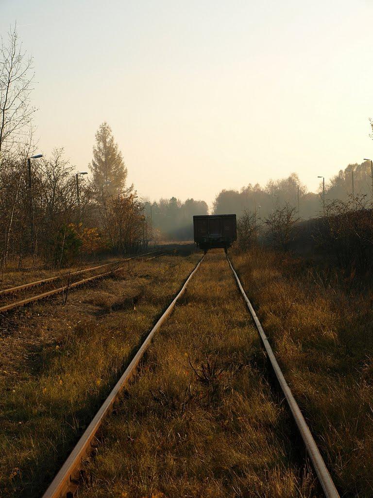 Кошари з panoramio.com - Кошари