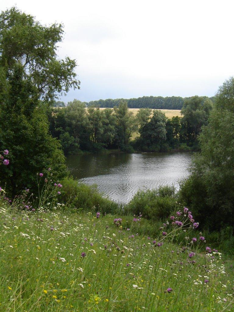 Люботин з panoramio.com (ч.2) - Люботин