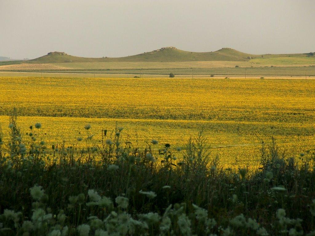 Нігин з panoramio.com - Nigyn