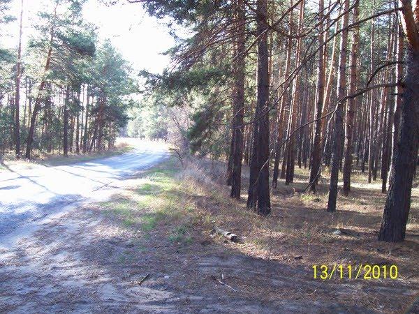 Ямпіль з panoramio.com - Ямполь