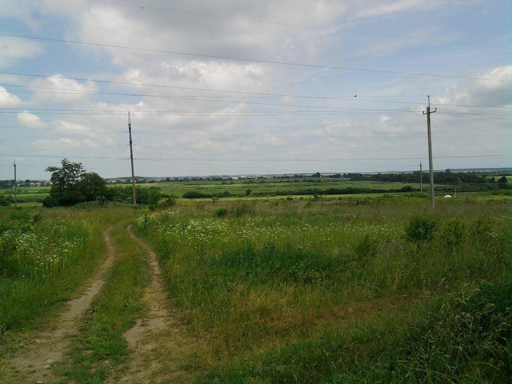 Винники з panoramio.com - Винники