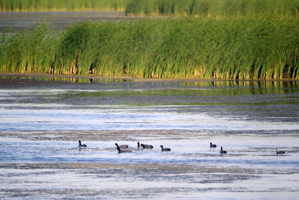 Хухра з panoramio.com - Хухра