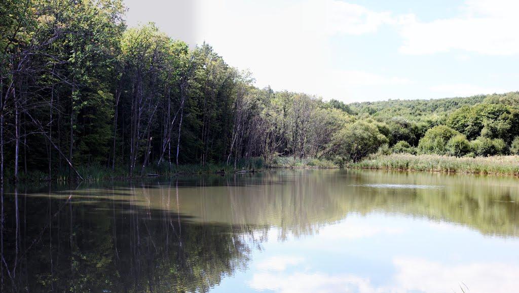 Бахматівці з panoramio.com - Бахматівці