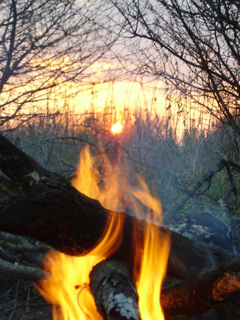 Гребінки з panoramio.com - Гребенки