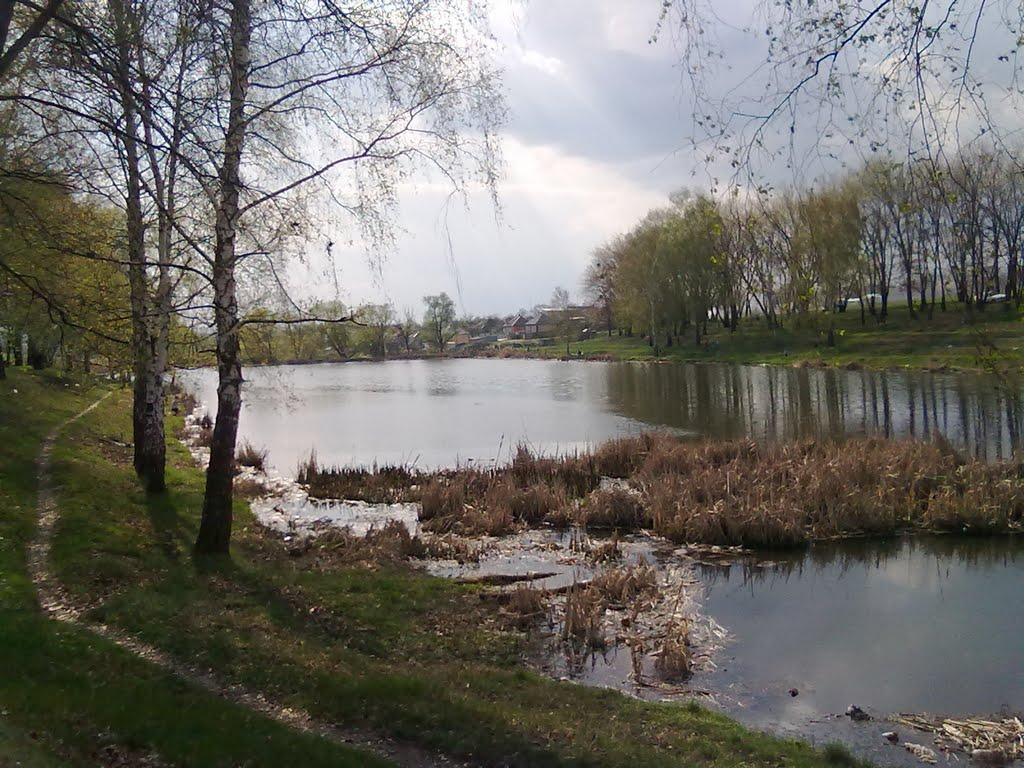 Логачівка з panoramio.com - Логачевка