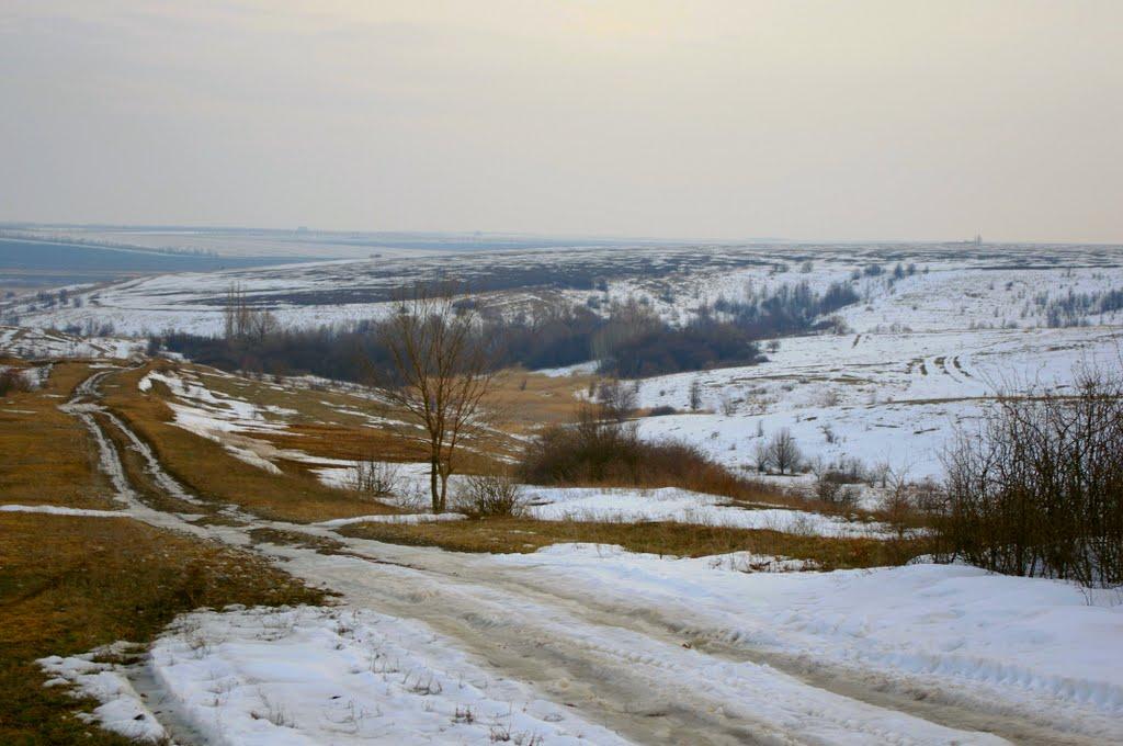 Середній Бурлук з panoramio.com - Seredniy Burluk