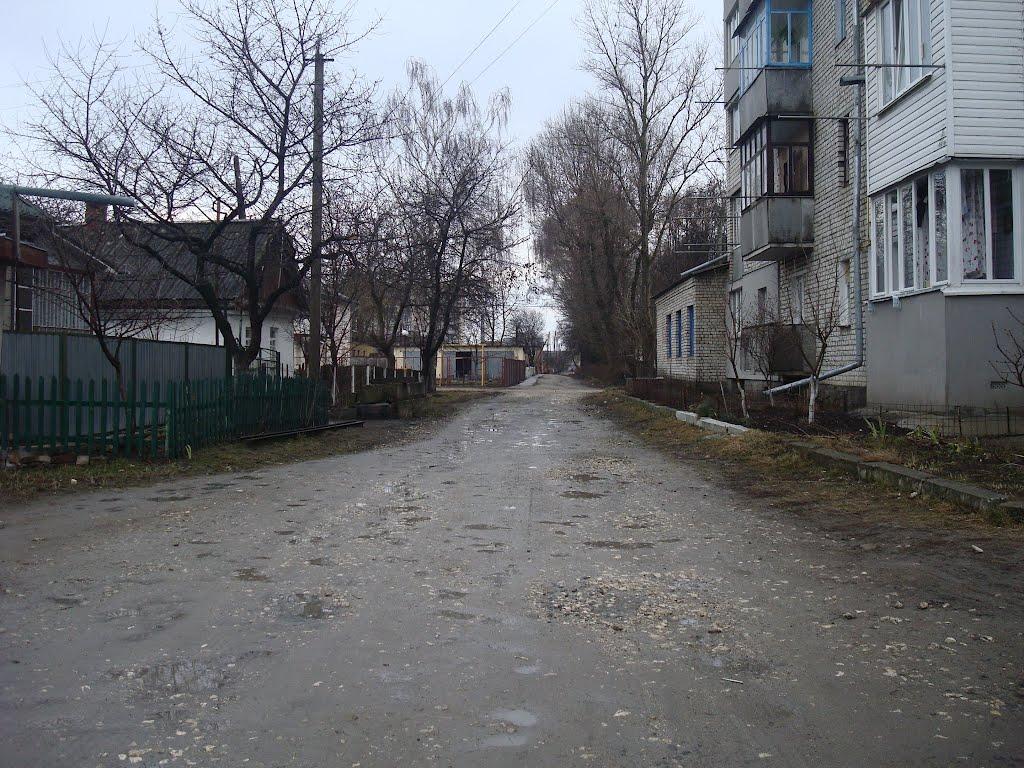 Малахівка з panoramio.com - Малахівка