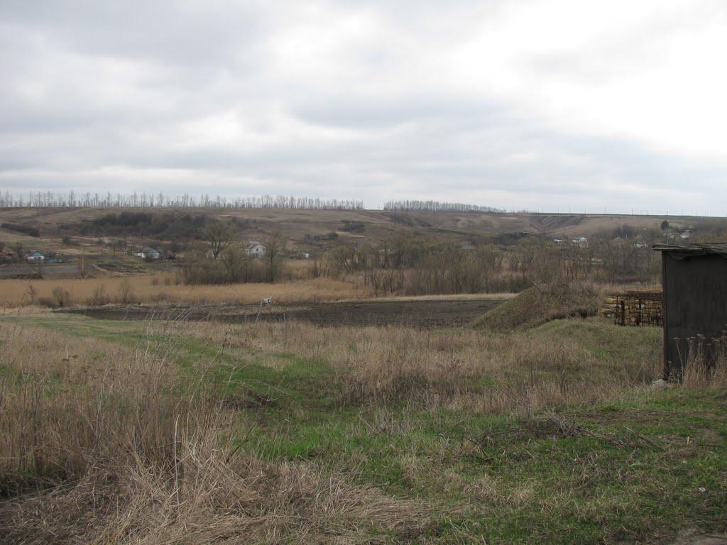 Берека з panoramio.com - Берека