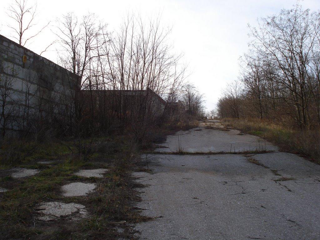 Козацьке з panoramio.com - Козацьке