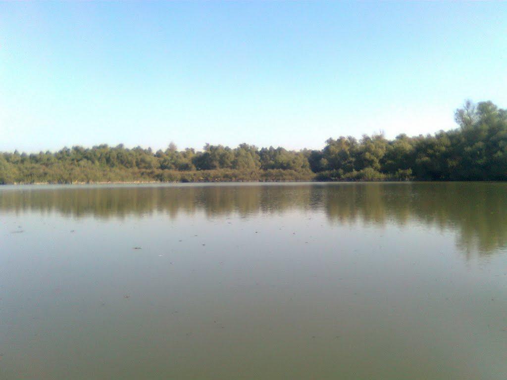 Дунайське з panoramio.com (ч.2) - Dunayske