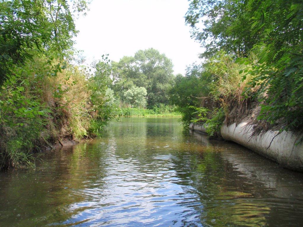 Кияшки з panoramio.com - Кияшки