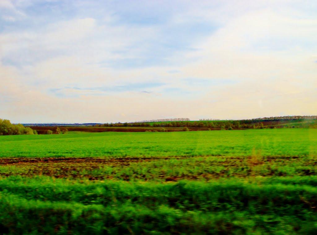 Мурзинці з panoramio.com - Мурзинці