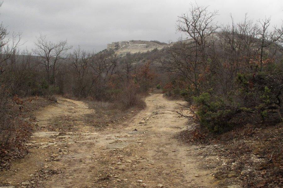 Партизанське з panoramio.com - Партизанське
