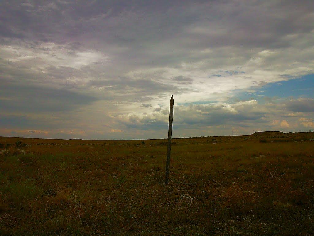 Каштани з panoramio.com - Каштани