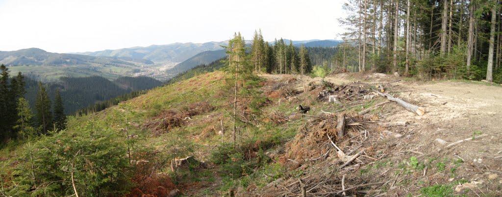 Долішній Шепіт з panoramio.com - Долишний Шепот