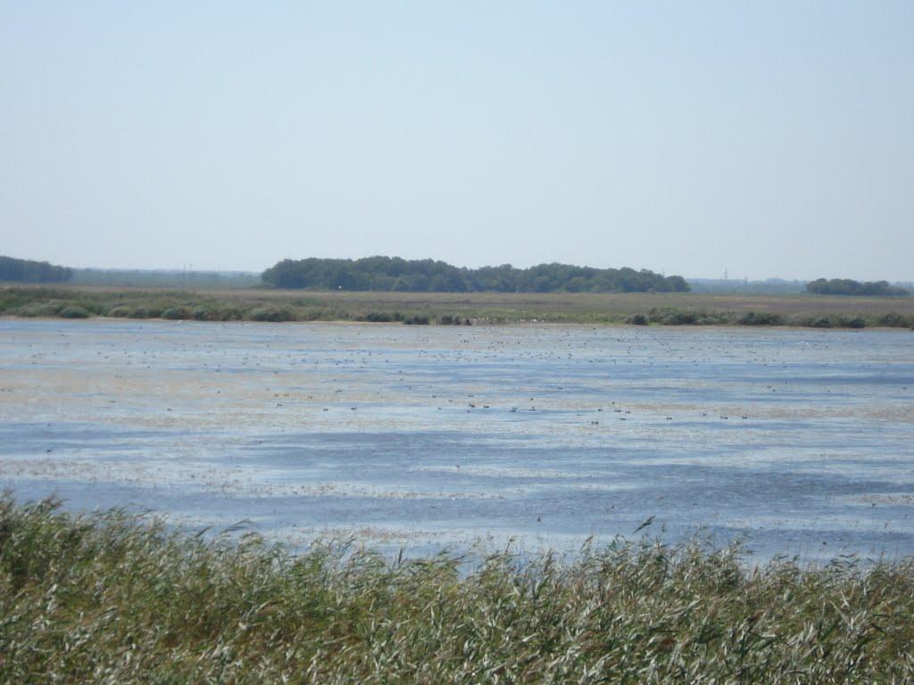 Займанка з panoramio.com - Займанка